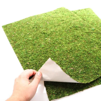 Фон моховий Repti-Zoo Natural Moss Back &amp; Bottom 60x45см 2шт. (NCM6045) — Фото 1