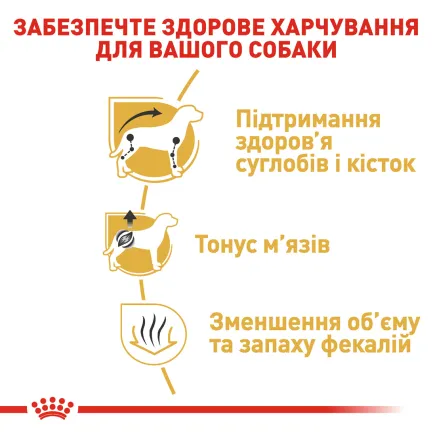 Сухий корм Royal Canin DACHSHUND ADULT для дорослих собак породи Такса 1,5 кг — Фото 2
