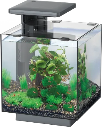 Акваріумний набір SuperFish QubiQ 15 LED Black (A4050809)
