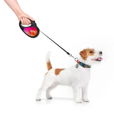 Повідець-рулетка для собак WAUDOG R-leash, малюнок "Конотопські магічні війська", M, до 25 кг, 5 м, світловідбиваюча стрічка чорний — Фото 6