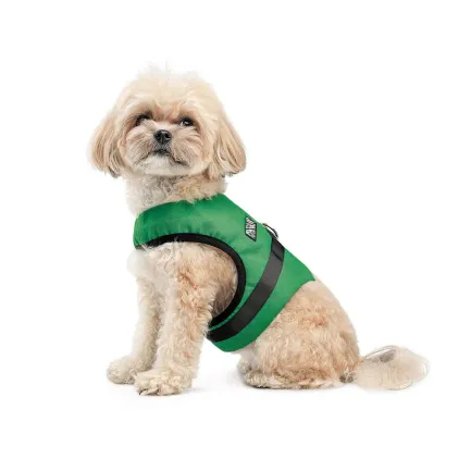 Шлея Ross ТМ Pet Fashion для собак XS зелена — Фото 2