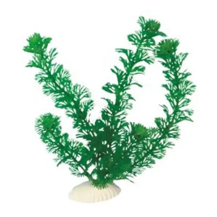 AquatiC Plants (Акватик Плентс) Акваріумна рослина 30cм, AP -004 - 12