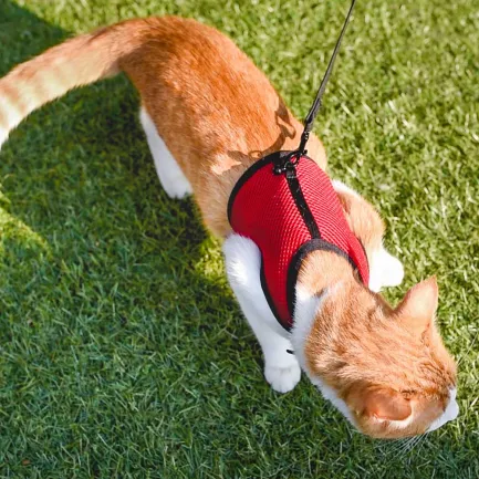 Ferplast JOGGING EXTRA LARGE Шлея з повідцем для котів — Фото 3