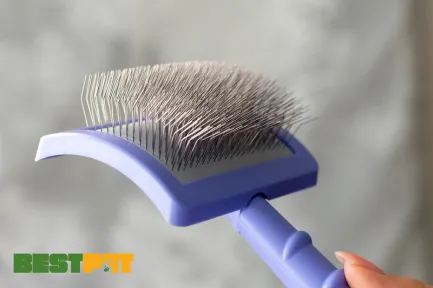 Tauro Pro Line Royal Щітка пластикова тонкі та м'які зубчики з нержавіючої сталі 25 мм, фіолетова, велика 17,5 x 10,6 x 6,2 см — Фото 1