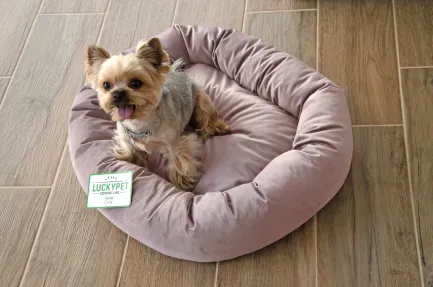 Лежак Фелікс №2 Lucky Pet рожевий, 48х58х12