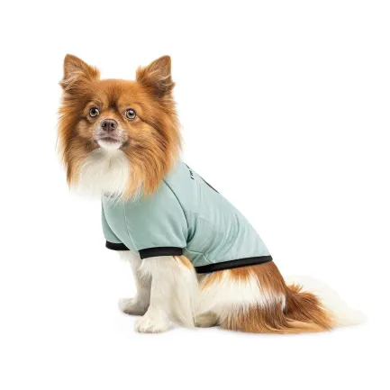 Футболка Pet Fashion Oscar для собак бавовна трикотаж рібана блакитна M — Фото 2