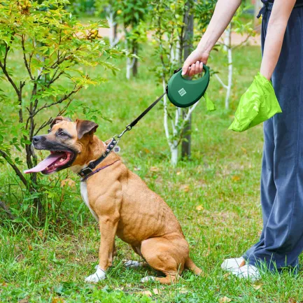 Повідець-рулетка для собак WAUDOG R-leash з контейнером для пакетів, світловідбивна стрічка, L, до 40 кг, 5 м, зелений — Фото 5