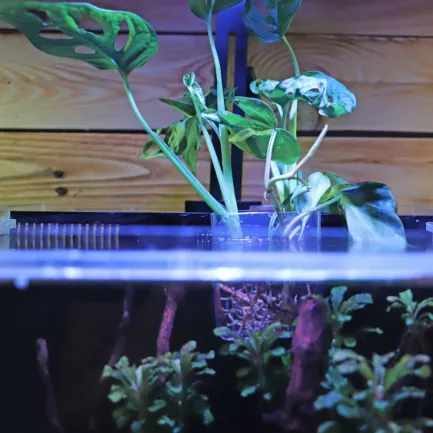 Контейнер для вирощування рослин в акваріумі Hobby Plant basket 8×9×8см (61330) — Фото 5