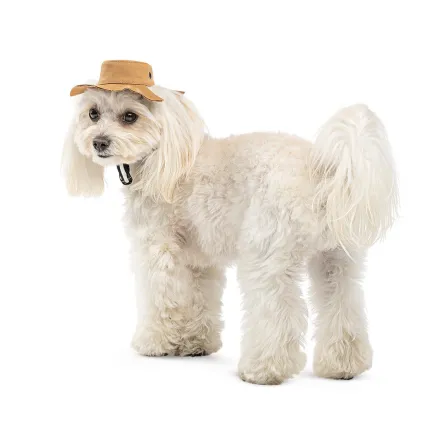 Панама Pet Fashion Ava для собак ХL — Фото 1