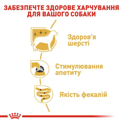 Вологий корм Royal Canin YORKSHIRE ADULT для дорослих собак породи Йоркшир-тер'єр 85 г — Фото 2