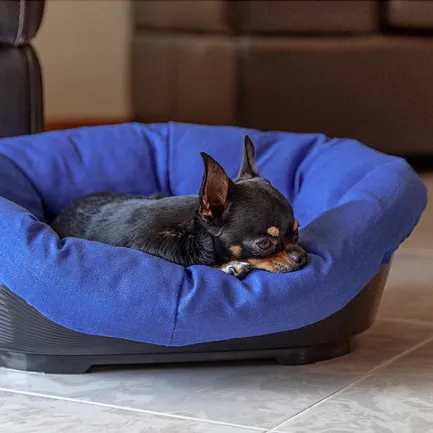 Ferplast SOFA' 2 Місце д/собаки пластик+чохол (бавовна) — Фото 3