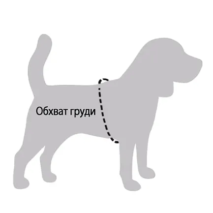 Шлея для Собак Дрібних Порід Barksi Sport Неопрен 3D Сітка Помаранчева M — Фото 4