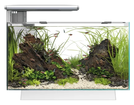 Акваріумний набір SuperFish Quadro 40 Pro White (A4052200)