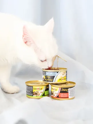 Вологий корм GimCat Shiny Cat для котів, тунець та креветки, 70 г — Фото 5