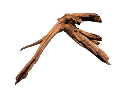 Мангрове дерево MANGROVE AGED WOOD LARGE (A4080345)