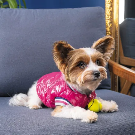 Бомбер Pet Fashion «Grace» для собак, розмір M, рожевий — Фото 3