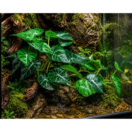Штучна рослина Hobby Alocasia 2 40 × 20 см (37718) для тераріуму, акватераріуму та палюдаріуму — Фото 2