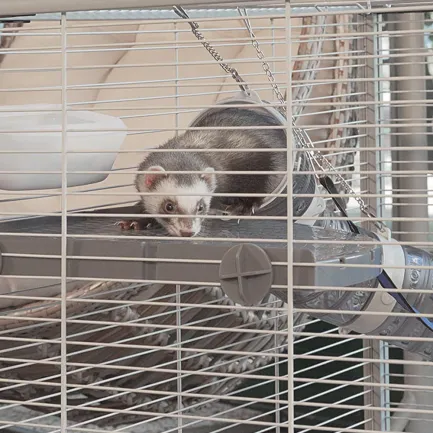 Ferplast CAGE FURET TOWER Клітка для тхорів — Фото 10