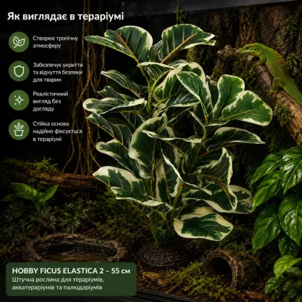 Штучна рослина Hobby Ficus Elastica 2 55 см (37706) для тераріуму, акватераріуму та палюдаріуму — Фото 2