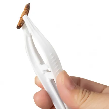 Пінцет Repti-Zoo Mini Tweezers 13 см. (FR10) — Фото 1