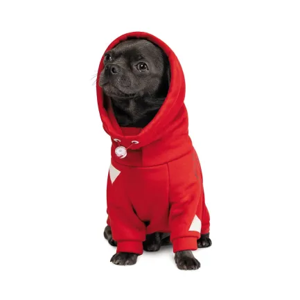 Худі Pet Fashion «Snoodie» для собак, розмір M2, червоний — Фото 2