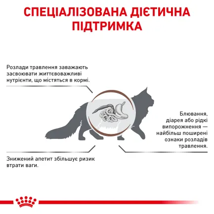 Дієтичний сухий корм Royal Canin GASTROINTESTINAL CAT для котів 2 кг — Фото 2