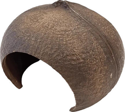 Декорація для акваріума REPTO DECO COCONUT (R5100380)