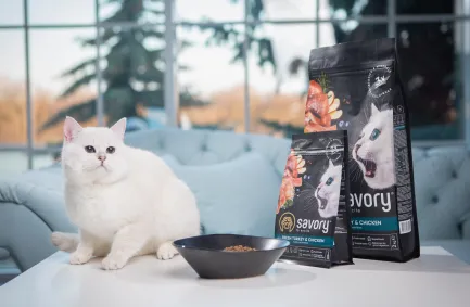 Сухий корм Savory для кошенят всіх порід, зі свіжою індичкою та куркою, 2 кг — Фото 4