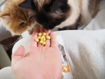 Вітамінізовані таблетки для котів GimCat Kase Rollis сирні кульки, пауч, 425 г — Фото 3