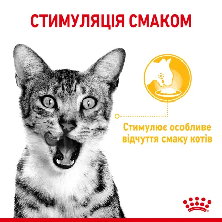 Вологий корм Royal Canin SENSORY TASTE JELLY для котів всіх порід 85 г — Фото 2
