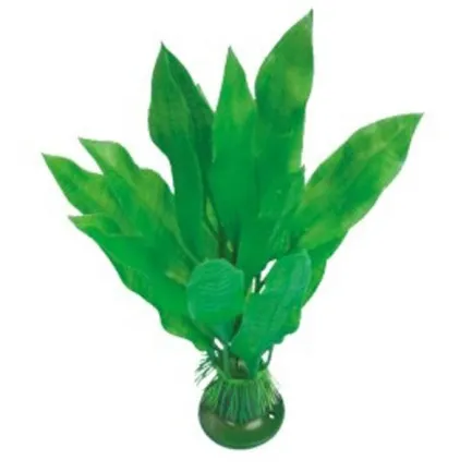 AquatiC Plants (Акватик Плентс) Акваріумна рослина 20cм АМАЗОН, AP -019 - 8