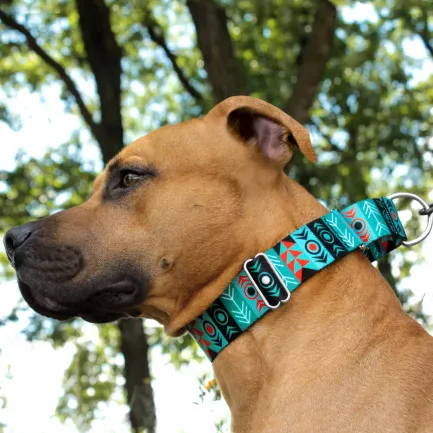 Нашийник для Собак Мартінґейл BronzeDog Urban Нейлоновий з Металевою Фурнітурою Інки L — Фото 3