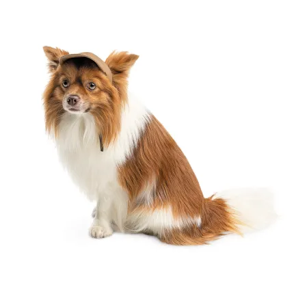 Кепка Phil ТМ Pet Fashion для собак L бежева — Фото 1