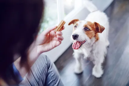 Ласощі DENTALIFE Small для дорослих собак дрібних порід для здоров'я зубів і ясен 115 г — Фото 7