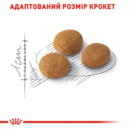 Сухий корм Royal Canin EXIGENT AROMATIC для котів всіх порід 2 кг — Фото 5