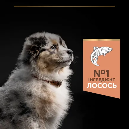 Сухий корм PRO PLAN Medium Puppy <1 Sensitive Skin для цуценят середніх порід з чутливою шкірою з лососем 12 кг — Фото 6
