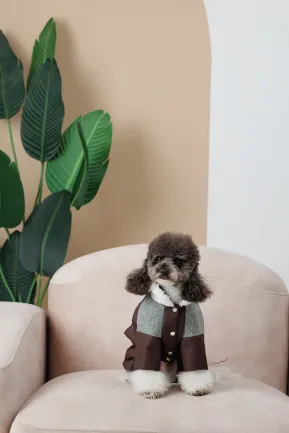 Костюм Pet Fashion Locky М2 для собак — Фото 5