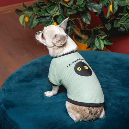 Футболка Pet Fashion Oscar для собак бавовна трикотаж рібана блакитна M — Фото 3