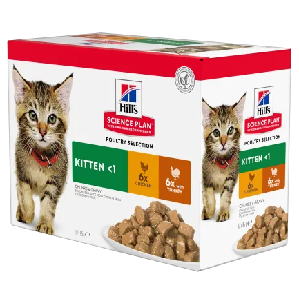 Hill's Science Plan Kitten Вологий корм для кошенят і кішок у період вагітності та лактації, з куркою та з індичкою, пауч, 85г (6+6 шт)