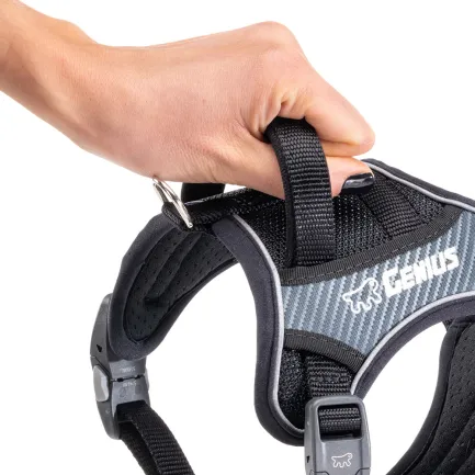 Ferplast GENIUS SMALL BLACK HARNESS нейлонова шлея для тварин чорна — Фото 6