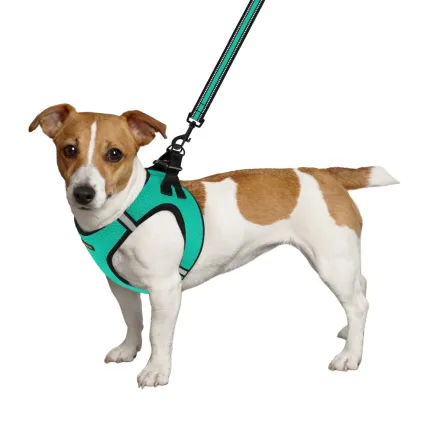 Шлея для собак Bronzedog Mesh Vest 3D сітка ментолова S — Фото 2