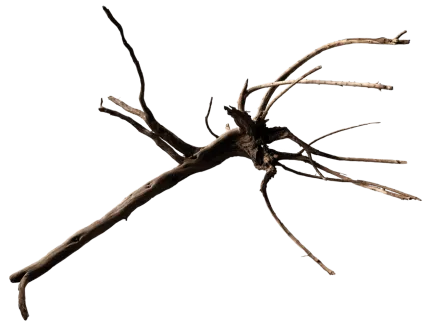 Павутинне дерево BLACK SPIDER WOOD X-LARGE (A4080395)