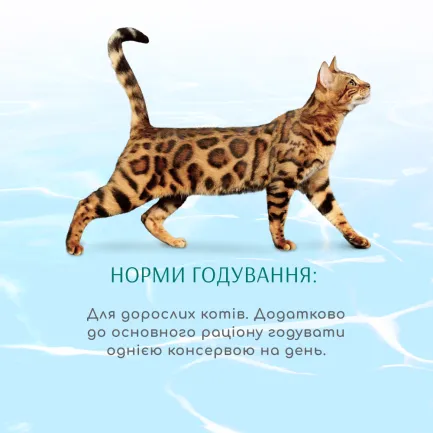 OPTIMEAL™. Б`ЮТІ ПОДІУМ. Конс корм д/котів “Смугастий тунець у соусі з кільцями кальмарів", 0,07 кг — Фото 3