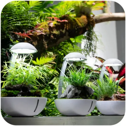 Мінітераріум Chihiros Tiny Terrarium Egg з LED-підсвіткою та керуванням через застосунок — Фото 2
