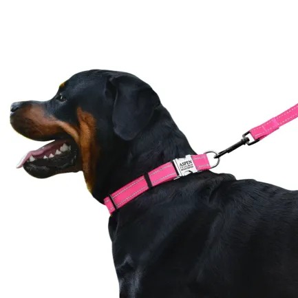 Нашийник для Собак BronzeDog Active Нейлоновий зі Світловідбиттям та Металевою Пряжкою Рожевий M — Фото 3