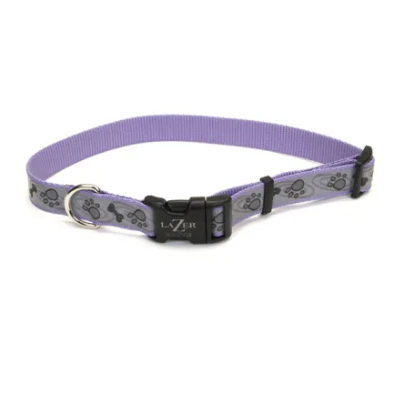 Coastal Lazer Brite Reflective Collar КОСТАЛ ЛАЗЕР БРАЙТ світловідбивний нашийник для собак, 1.6х30-46см Лапа кістка фіолетовий