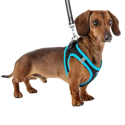 Ferplast KAORI P M HARNESS BLACK/BLUE Шлея,чорно-синя — Фото 3