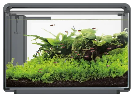 Акваріумний набір SuperFish Home ProLED 65 Black (A4051635)