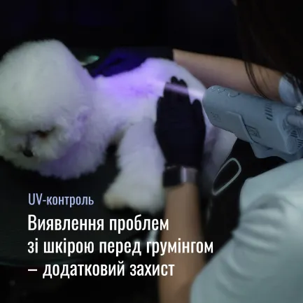 Tauro Pro Line Універсальний фен для тварин із гнучкою системою кріплення на шиї, з вилкою ЄС, фіолетовий — Фото 7
