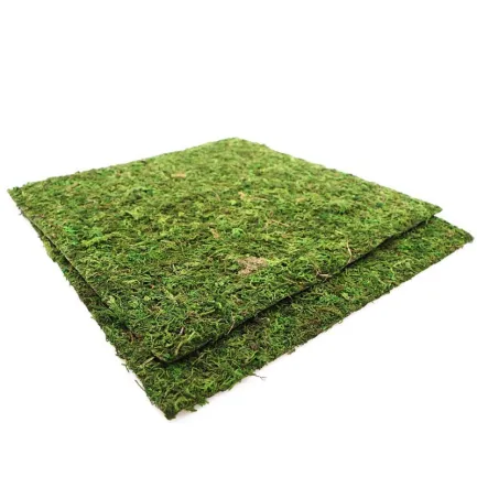 Фон моховий Repti-Zoo Natural Moss Back &amp; Bottom 30x30см 2шт. (NCM3030) — Фото 3